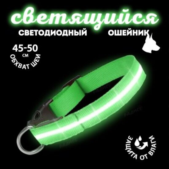 Ошейник светящийся LED для собак, нейлон, 2,5×41–51 см, зелёный