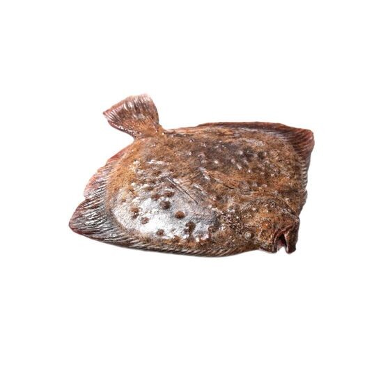 Камбала Калкан черноморская свежемороженая