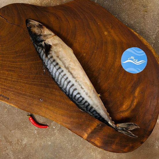 Скумбрия Мурманск