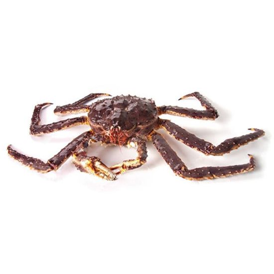 Краб Камчатский живой