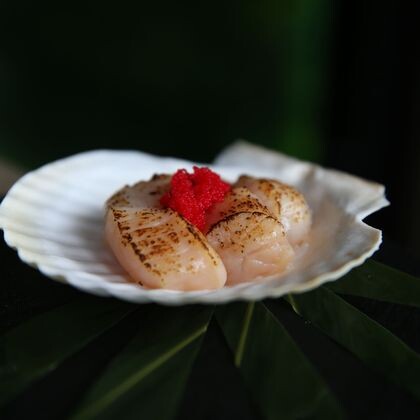 Опалённый приморский гребешок