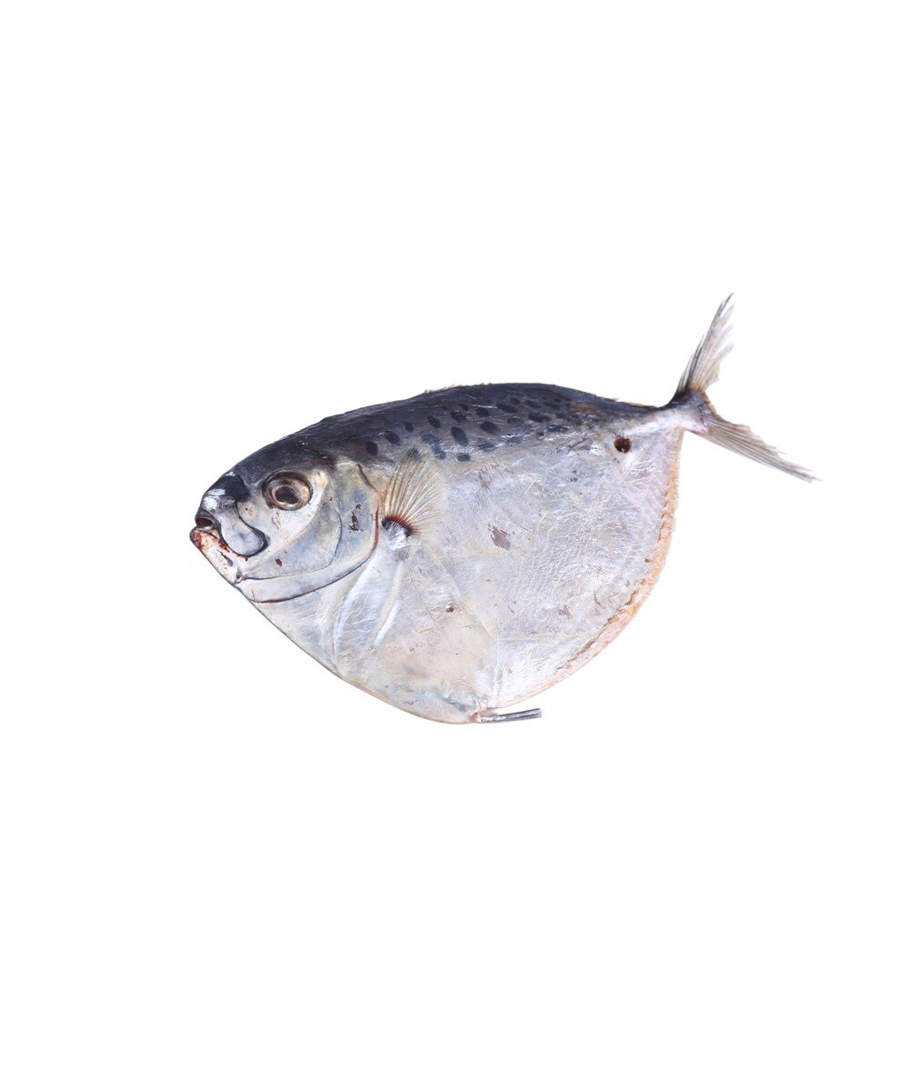 Вомер вяленый