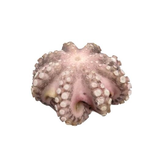 Осьминог (шар) свежемороженый