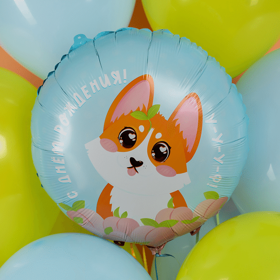 45 см, Круг, С Днем Рождения! (корги)