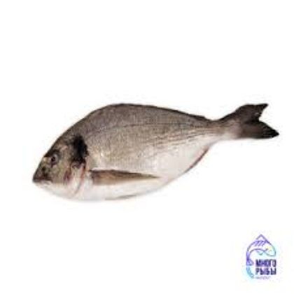 Дорадо целая, 400-600 гр.