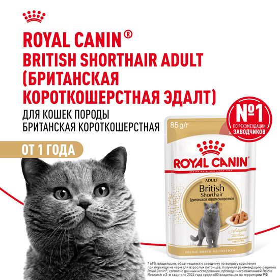ROYAL CANIN Британская Короткошёрстная пауч для взрослых кошек породы британская короткошёрстная, кусочки в соусе, 85 г