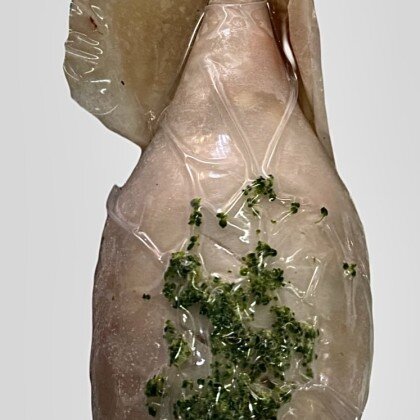 Кальмар фаршированный рыбой лососевых пород и брокколи, кг