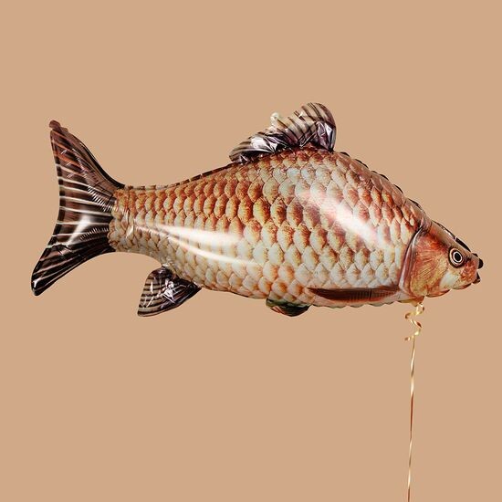 ≈ 83 см, Фигура, Рыба