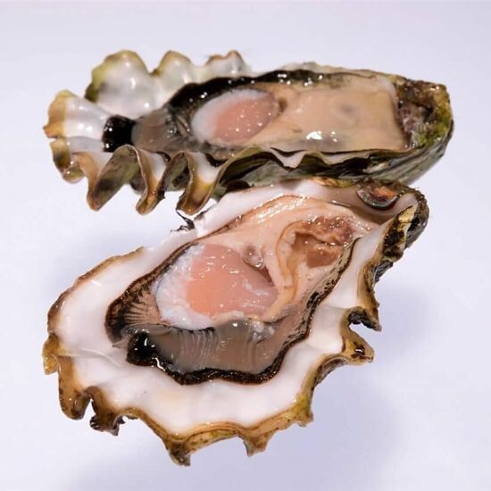 Устрица Розовая Джоли М