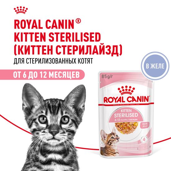 ROYAL CANIN Киттен Стерилайзд пауч для стерилизованных котят от 6 до 12 месяцев, кусочки в желе, 85 г