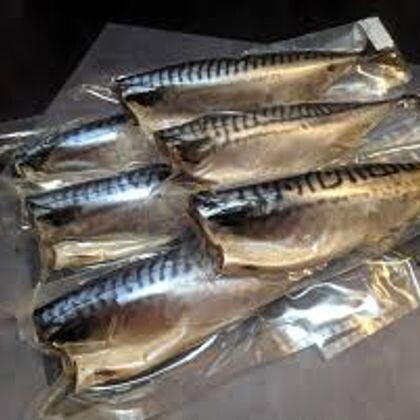 Скумбрия провесная