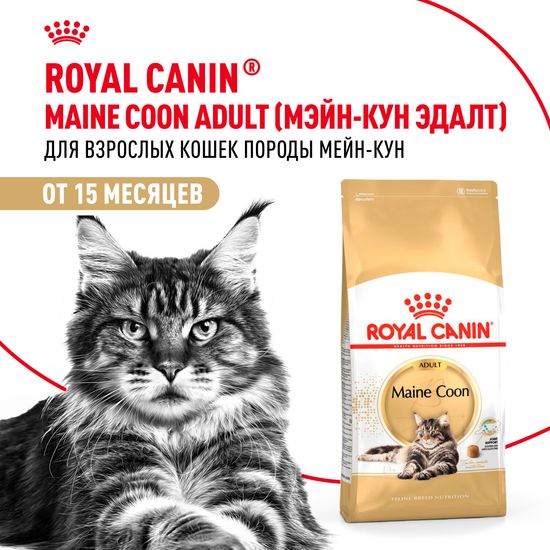 ROYAL CANIN Мейн Кун сухой корм для взрослых кошек породы мейн-кун, 2 кг