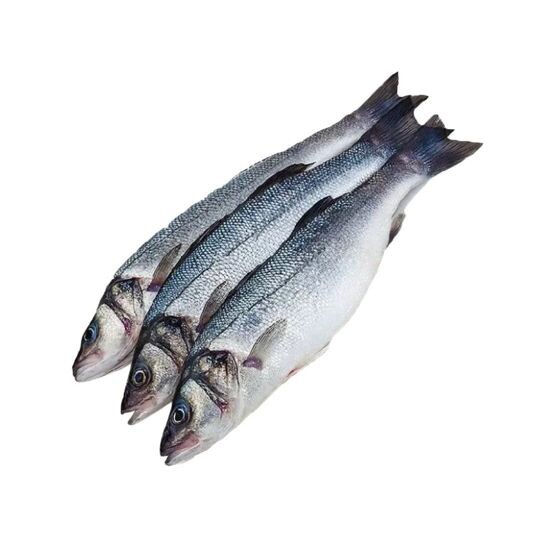 Сибас целая свежемороженая 300-400гр Турция