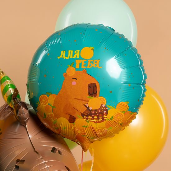 45 см, Круг, Капибара