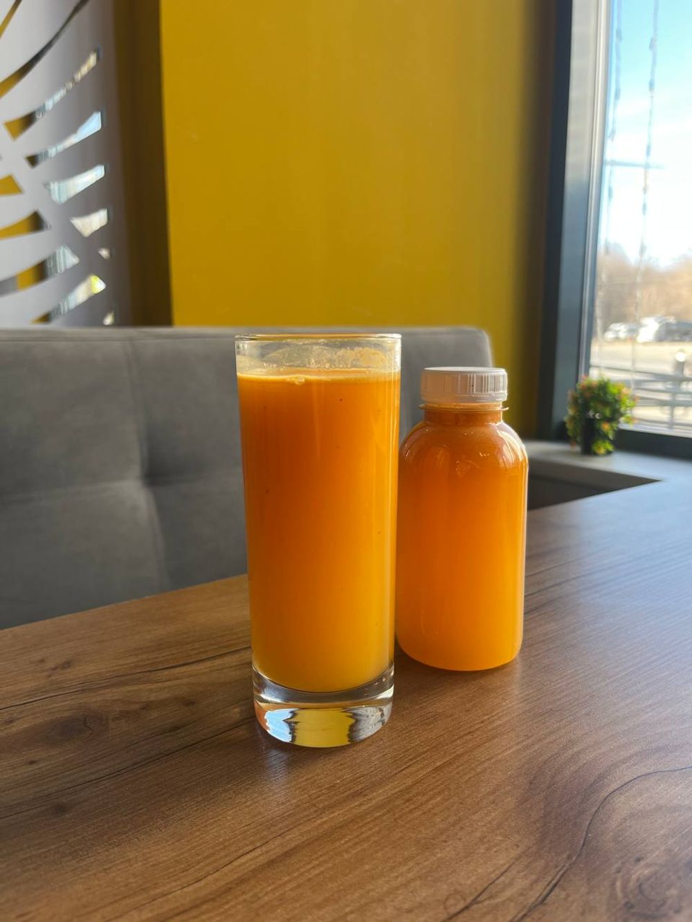 Облепиховый морс (бутылка)