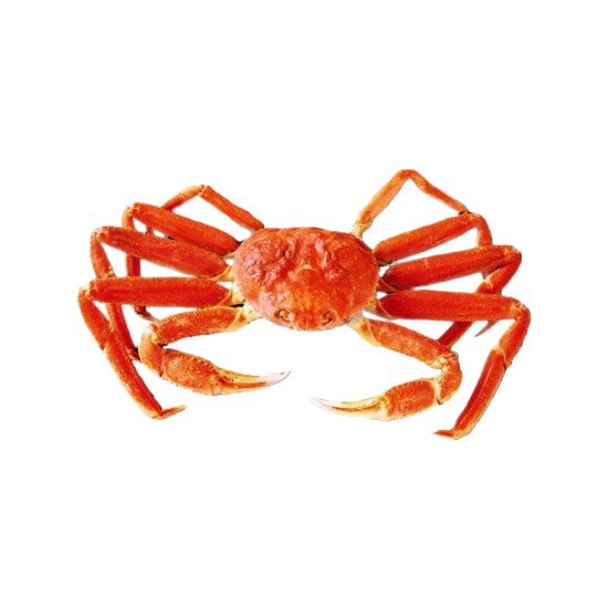 Краб Стригун "Подарочный"