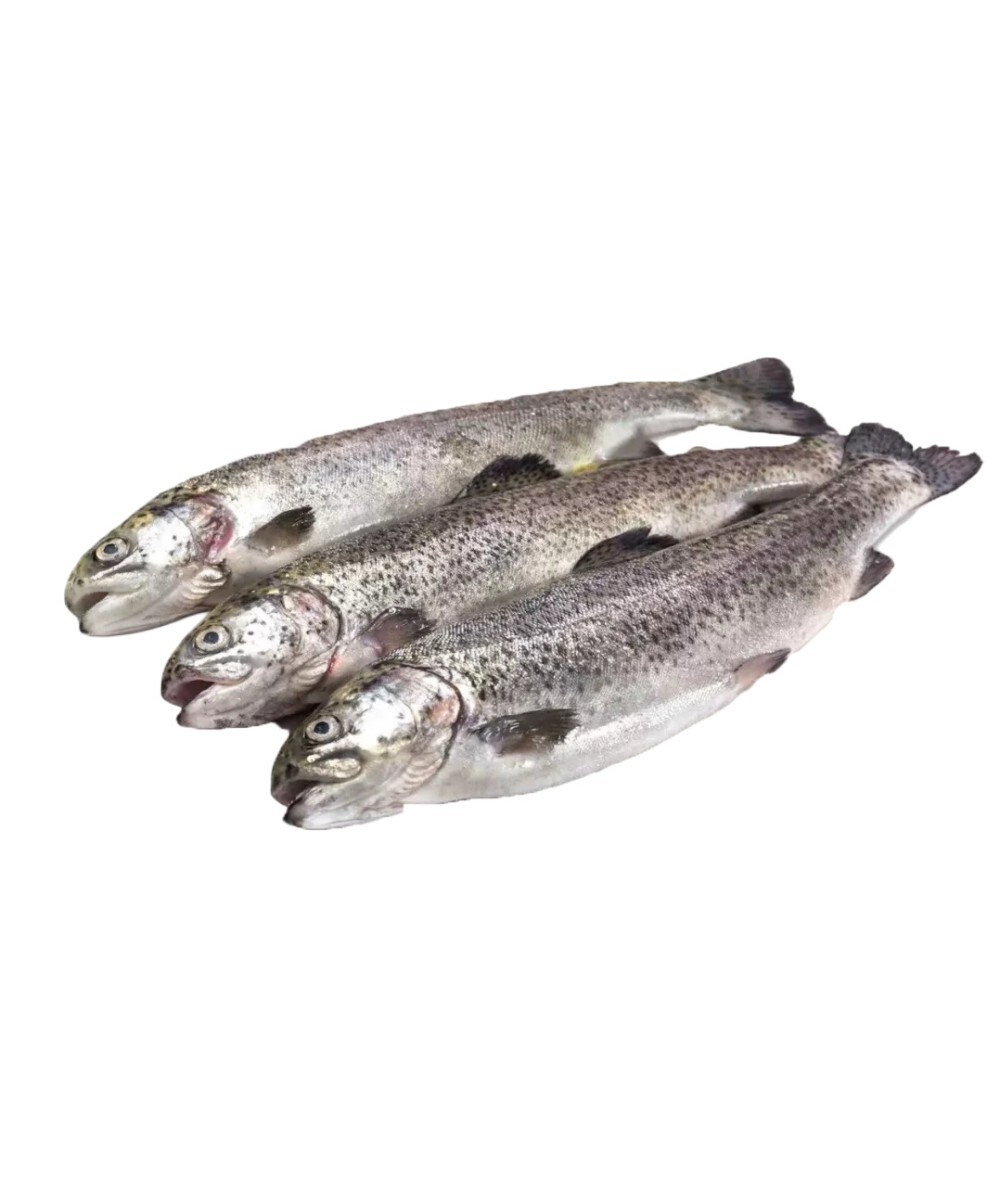 Форель радужная 500-900 гр свежемороженая Турция