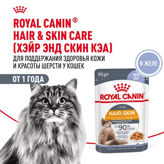 ROYAL CANIN Хэйр Энд Скин пауч для взрослых кошек с проблемной кожей и шерстью, тонкие ломтики в желе, 85 г