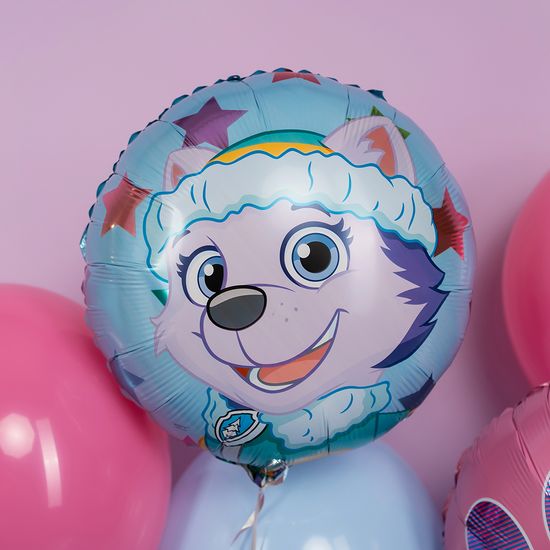 45 см Круг, Щенячий патруль, Эверест