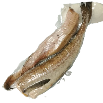 Минтай 20+ свежемороженый