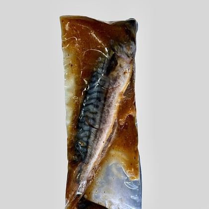 Скумбрия в томатном маринаде, кг