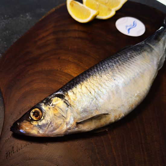 Сельдь Олюторская с/с