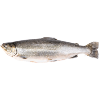 Голец свежемороженый, кг