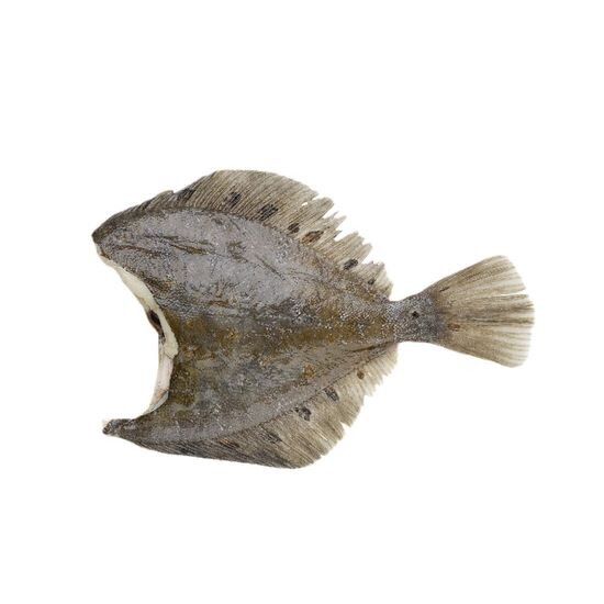 Камбала свежемороженая без головы