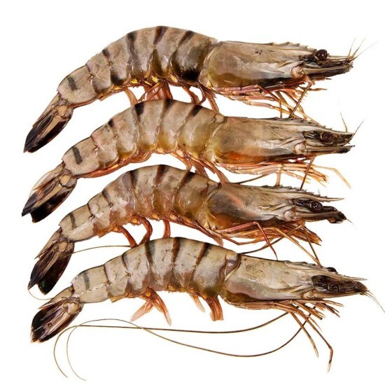 Креветка Тигровая