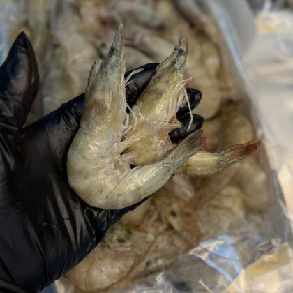 Креветка королевская свеже-мороженная