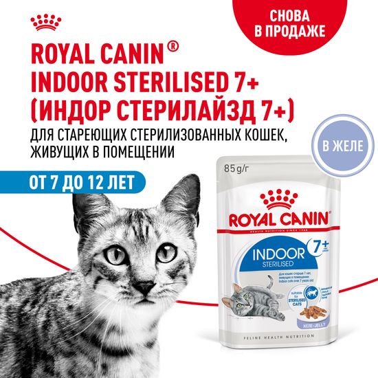ROYAL CANIN Индор Стерилайзд 7+ пауч для стерилизованных домашних кошек старше 7 лет, кусочки в желе, 85 г