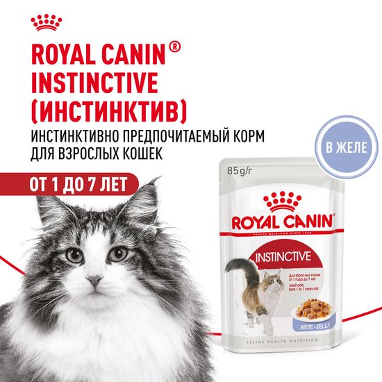ROYAL CANIN Инстинктив пауч для взрослых кошек, кусочки в желе, 85 г