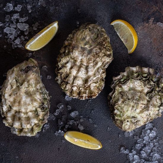 Устрица Хасанская