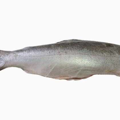 Форель потрошеная б/г, кг