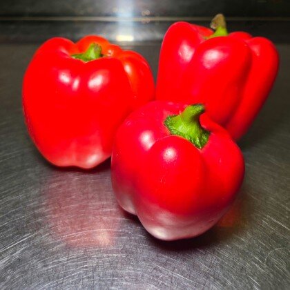 Перец болгарский