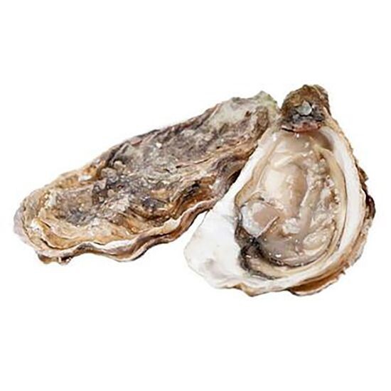 Устрица Императорская 60-100 грамм