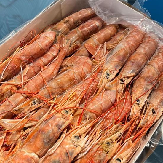 Лангустины с головой L1 свежемороженые
