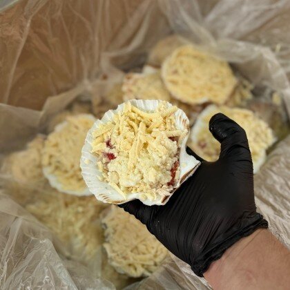 Морской гребешок по Шанхайски с мясом краба