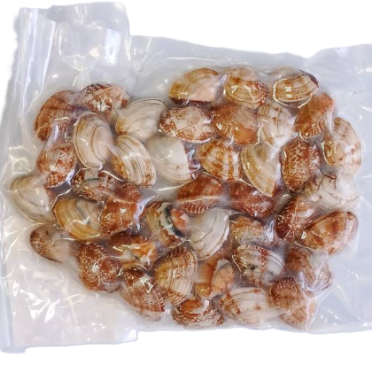 Клемы вонголе в/м