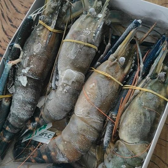 Креветка Скампи (4/6 шт/кг) Бангладеш св/м 1 кг