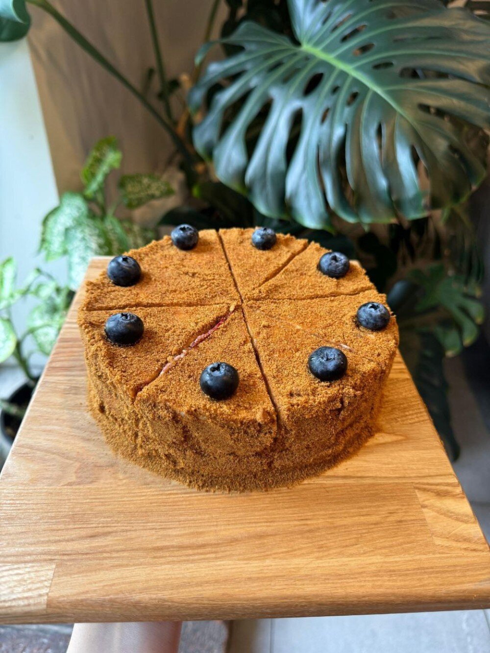 Медовик с брусникой