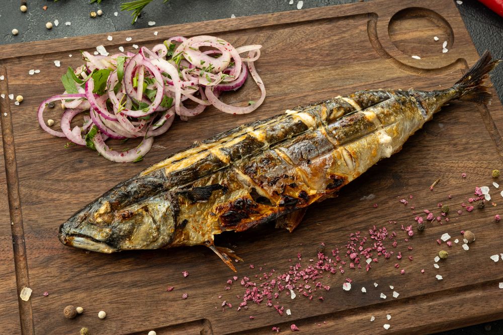 Скумбрия