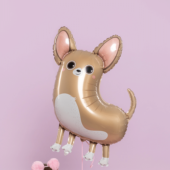 ≈ 88 см, Фигура, Чихуахуа