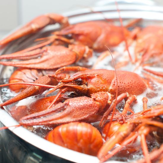 Вареные раки №6 (Волжские) Отборные