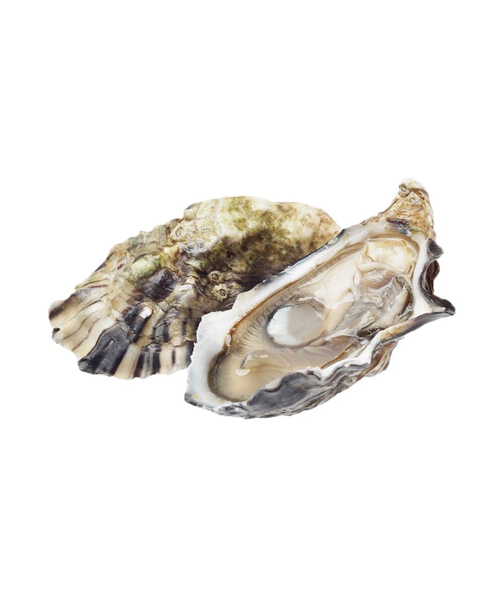 Устрица Фермерская Жилардо спесиаль №4 Франция