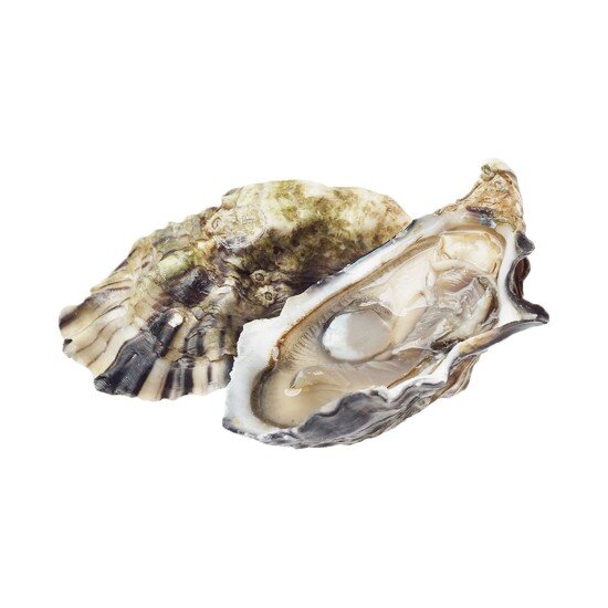 Устрица Фермерская Жилардо спесиаль №4 Франция