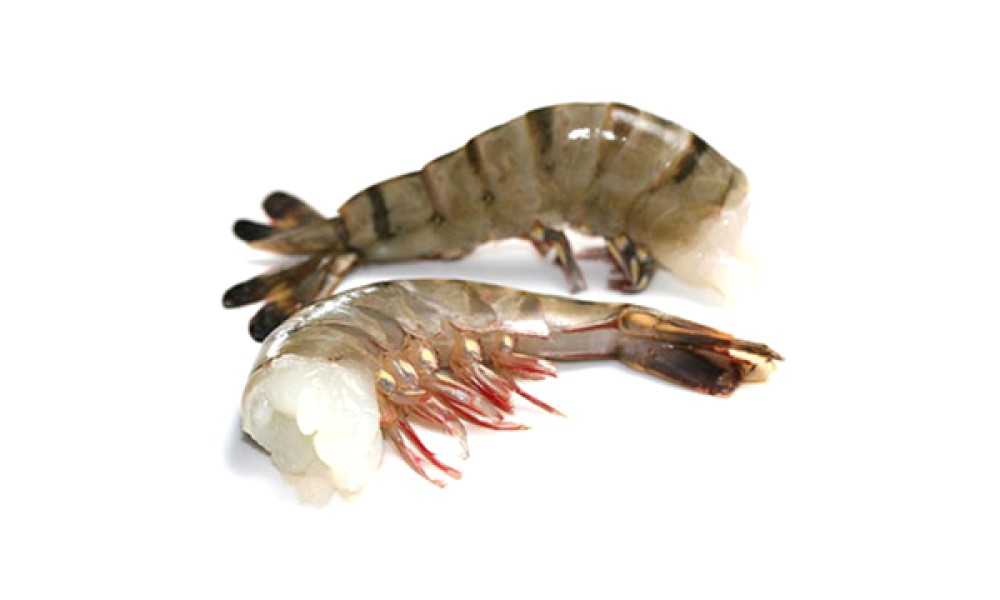 Креветка Тигровая Черная