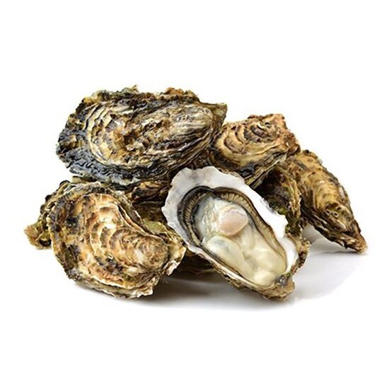 Устрица Императорская 100-150 грамм