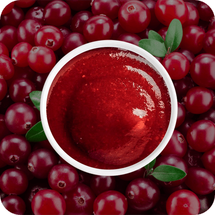 Соус Брусничный