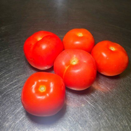 Помидор свежий